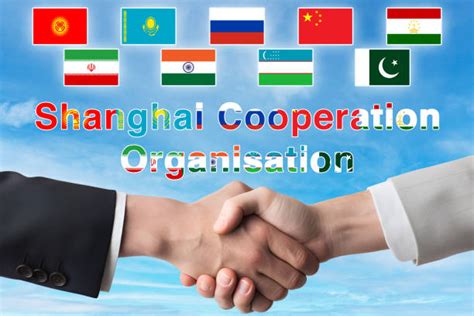 Cooperation Groups 的图像结果