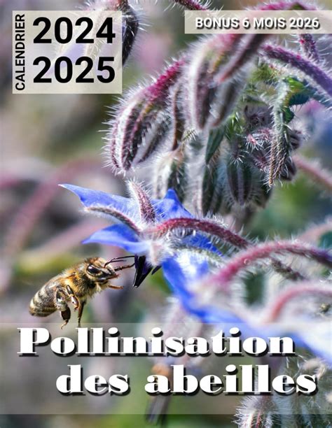 Buy Pollinisation des abeilles Calendrier 2024 - 2025: Calendrier sur ...
