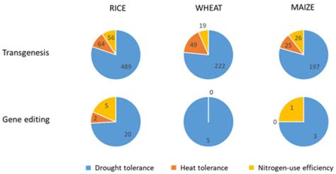 Modern Approaches for the Genetic Improvement of Rice, Wheat and Maize ...