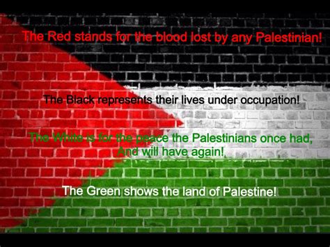 Colors Of The Palestinian Flag