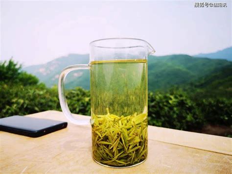 信阳茶叶加工发展现状、优势、问题及对策_河南省
