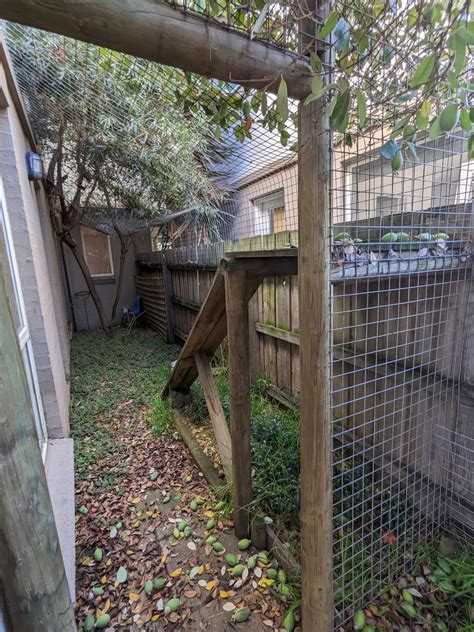 Cat enclosure/fence removal. Who to ask? : r/AusRenovation
