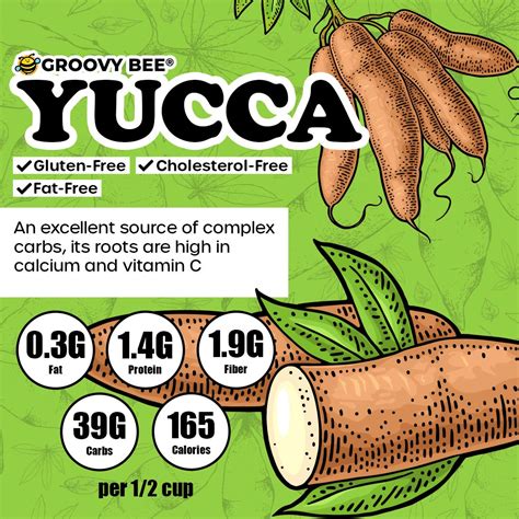 Yuca Nutrition Facts