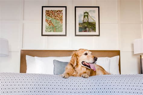 Pet Friendly Hotels Portland Oregon | Heathman Hotel