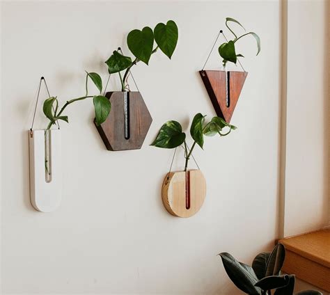 plant wall holders indoor