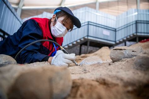 贵州发现完整恐龙化石 完整“中国龙”现身中国龙年-侨报网