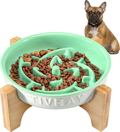 Amazon.com: Tivray Slow Feeder Dog Bowls Ceramic, 1.5 Cups Dog Slow ...