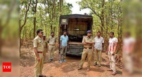 Foresters in Bengal step in after jumbos threaten to queer poll pitch ...