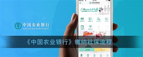 农行app怎么交社保_农业银行app缴纳社保流程_3DM手游