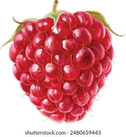 Image result for Raspberry Color Artwork