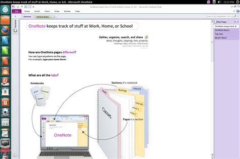 Tutorial OneNote 2017 的图像结果