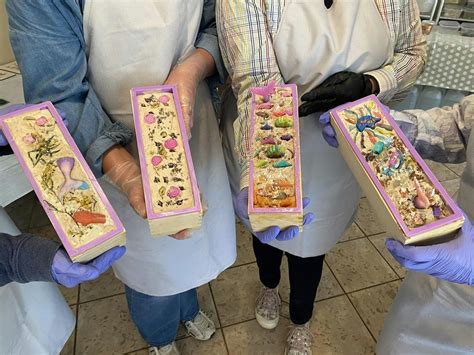 Soap Making Class Gold Coast, 36B King Parrot Court, Clagiraba QLD ...