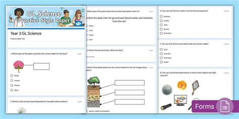 Year 3 Science GL Style Practice Test