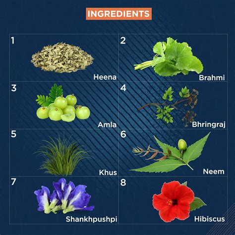 Beardhood -Buy Ayurvedic Hair Oil | Scalp Nourishment Oil India