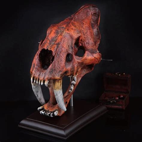 Buy Resin Smilodon Sabertooth Tiger 1:1 Skull Model Replica with ...