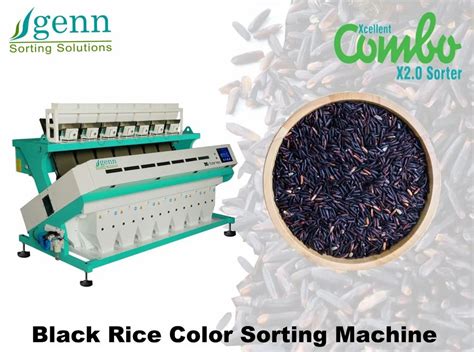 Image result for Rice Color Sorting Machine