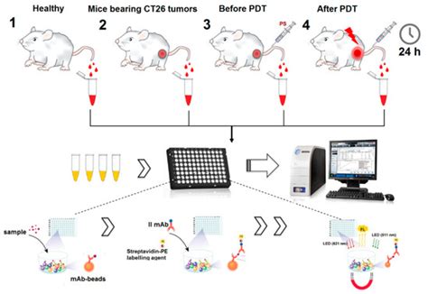 Lipophilicity of Bacteriochlorin-Based Photosensitizers as a ...