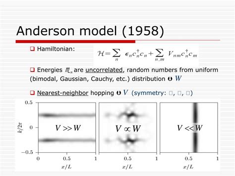 Walker Anderson Model Algorithm 的图像结果