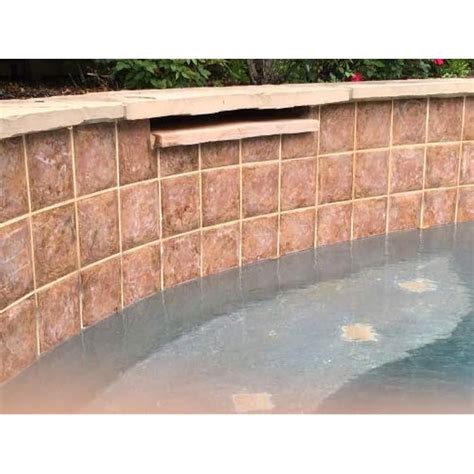 PiranhaWaterProducts Piranha Water Swimming Pool Stain Remover and ...