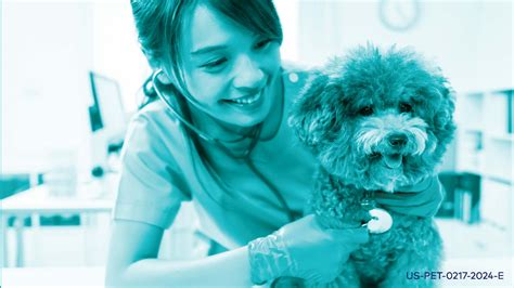 Study compares heartworm disease treatments | dvm360