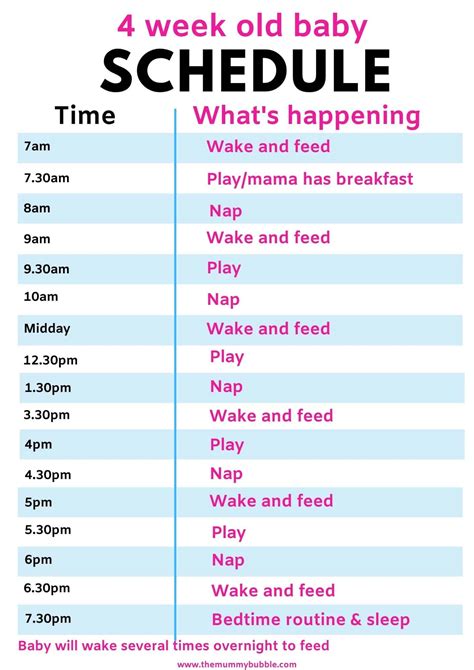 The Best 4 Week Old Baby Schedule - The Mummy Bubble