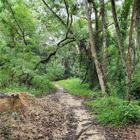 TAMPINES QUARRY (2025) All You Need to Know BEFORE You Go (with Photos ...