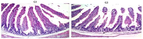 Physiological Performance of Rabbits Administered Buffalo Milk Yogurts ...