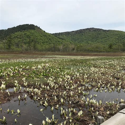 OZE PLANT RESEARCH SPECIMEN GARDEN (2026) All You Need to Know BEFORE ...