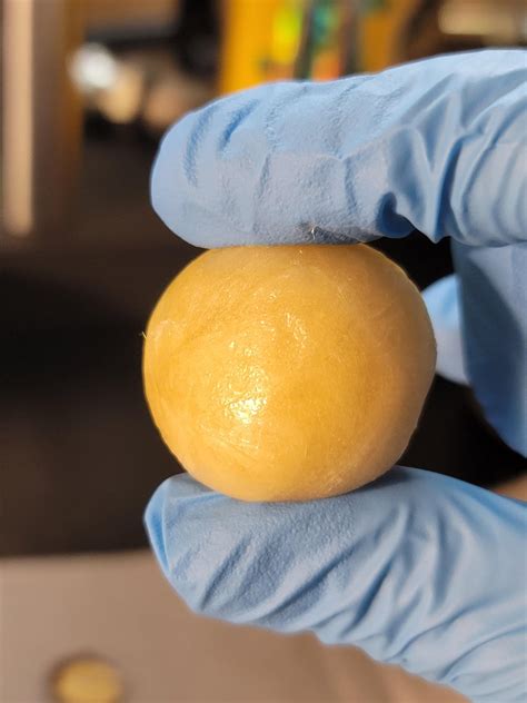 Fresh pressed single single source live rosin. Washed from personally ...