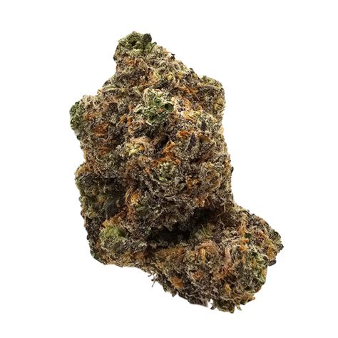 Grease Bucket THCA 31%| Kushte