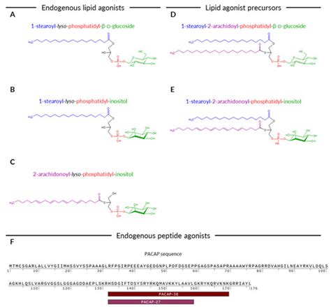 Gene Expression Data Mining Reveals the Involvement of GPR55 and Its ...