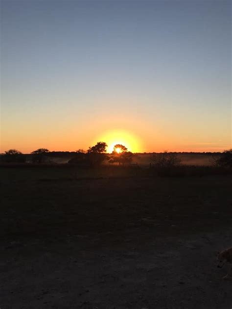Deuce Cutshall, Wild Bunch Brewing Company, Red Rock, 24 June 2023 ...