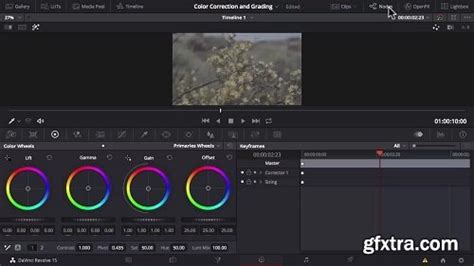 Image result for DaVinci Resolve 17 Color Grading Tutorial