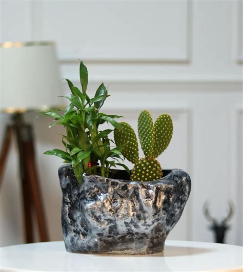 STYLESPACE BY ISHA Home Decor Fiber Table Top Planter Flower Pot for ...