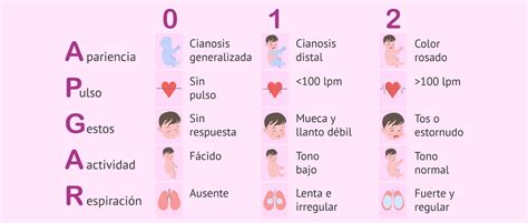 Image result for Que Significa Apgar