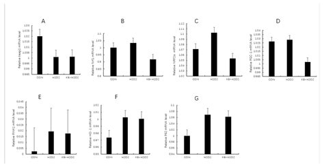 Tartary Buckwheat Peptides Prevent Oxidative Damage in Differentiated ...