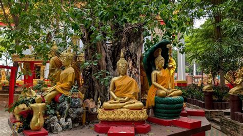 Bangkok or Pattaya: Day Trip to Ayutthaya with Private Longtail Tour ...