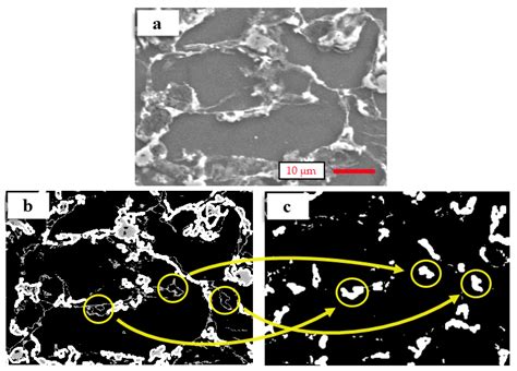 Image Processing of Mg-Al-Sn Alloy Microstructures for Determining ...