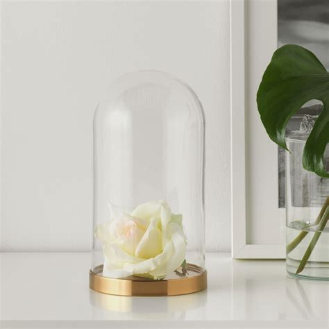 BEGÅVNING glass dome with base, 26 cm (10") - IKEA