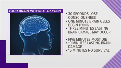 Your brain on oxygen: How long can it live without it? | wzzm13.com