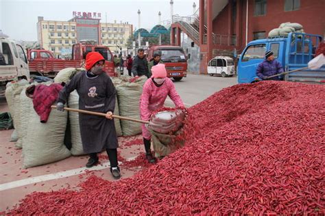 来源： 中国 ·柘城辣椒产业指数