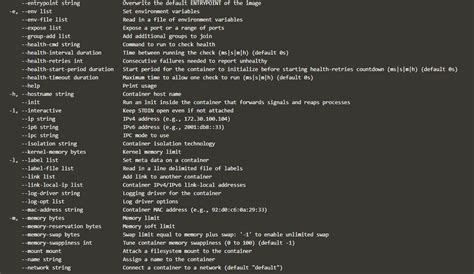 Docker Run Command 的图像结果