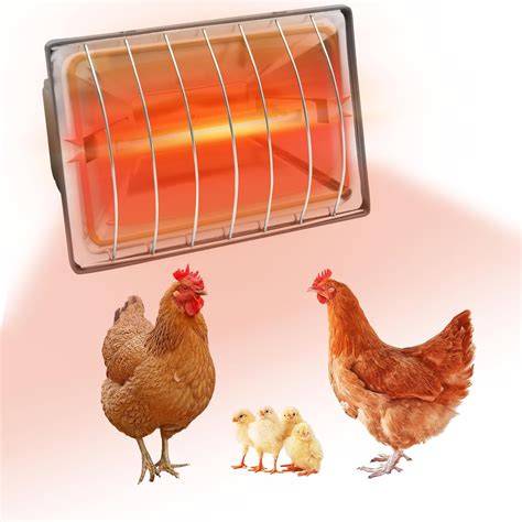 Amazon.com: GIFANK Chicken Coop Heat Lamp 250W Chicken Coop Heater ...