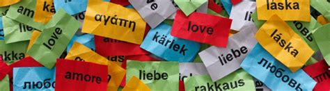 Free Open Source Language Learning 的图像结果