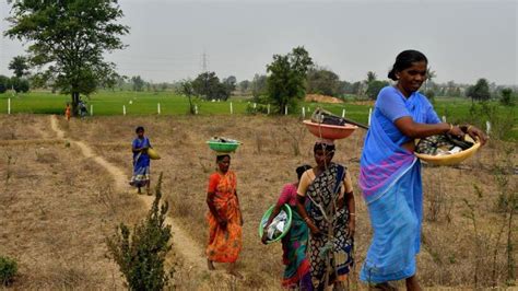 Economic Survey: Why India is replacing MGNREGS with new VB G-RAM G Act ...