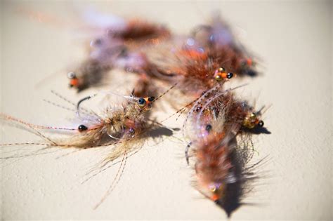 Redfish Fly Patterns 的图像结果