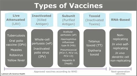 A Guide To Vaccine Development & Immunization | Agno Pharmaceuticals