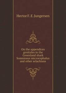 On the appendices genitales in the Greenland shark Somniosus ...