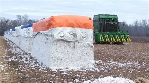 Image result for Loading Cotton Modules