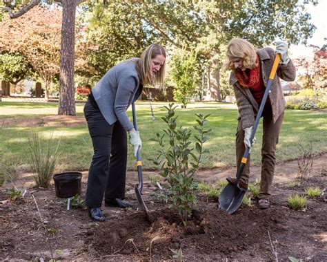North Carolina鈥檚 Governor and First Lady Put Native Plants in the Spotlight | 探花精选